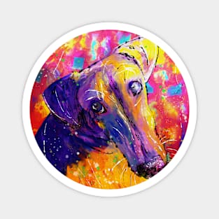 Caesar Saluki Magnet